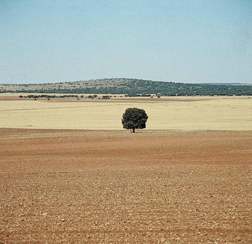 La meseta